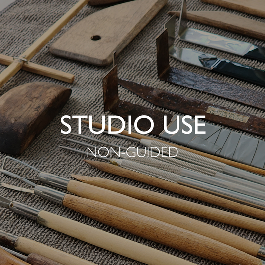 Studio-Use Non-Guided